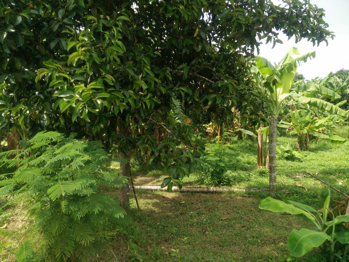 Deva Garden Resort Prachinburi Esterno foto