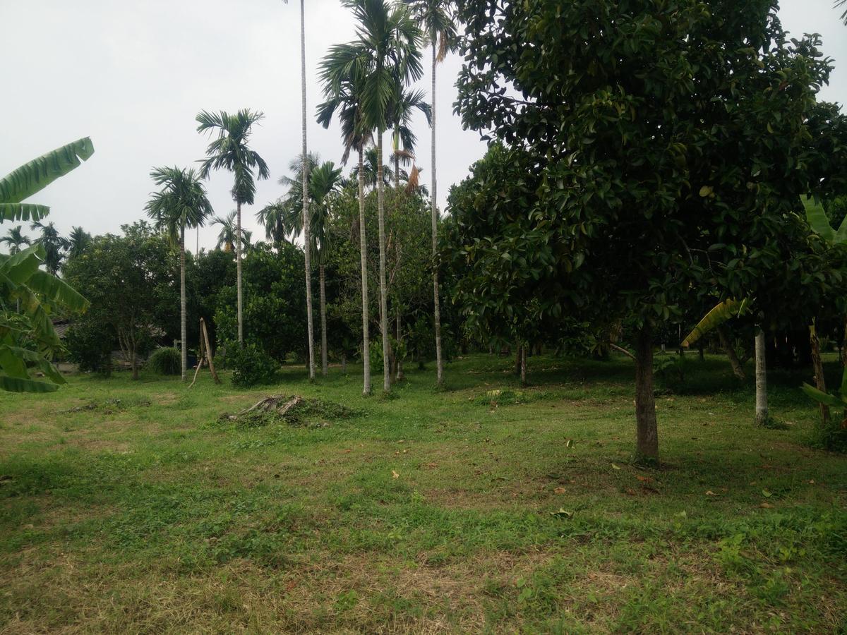 Deva Garden Resort Prachinburi Esterno foto