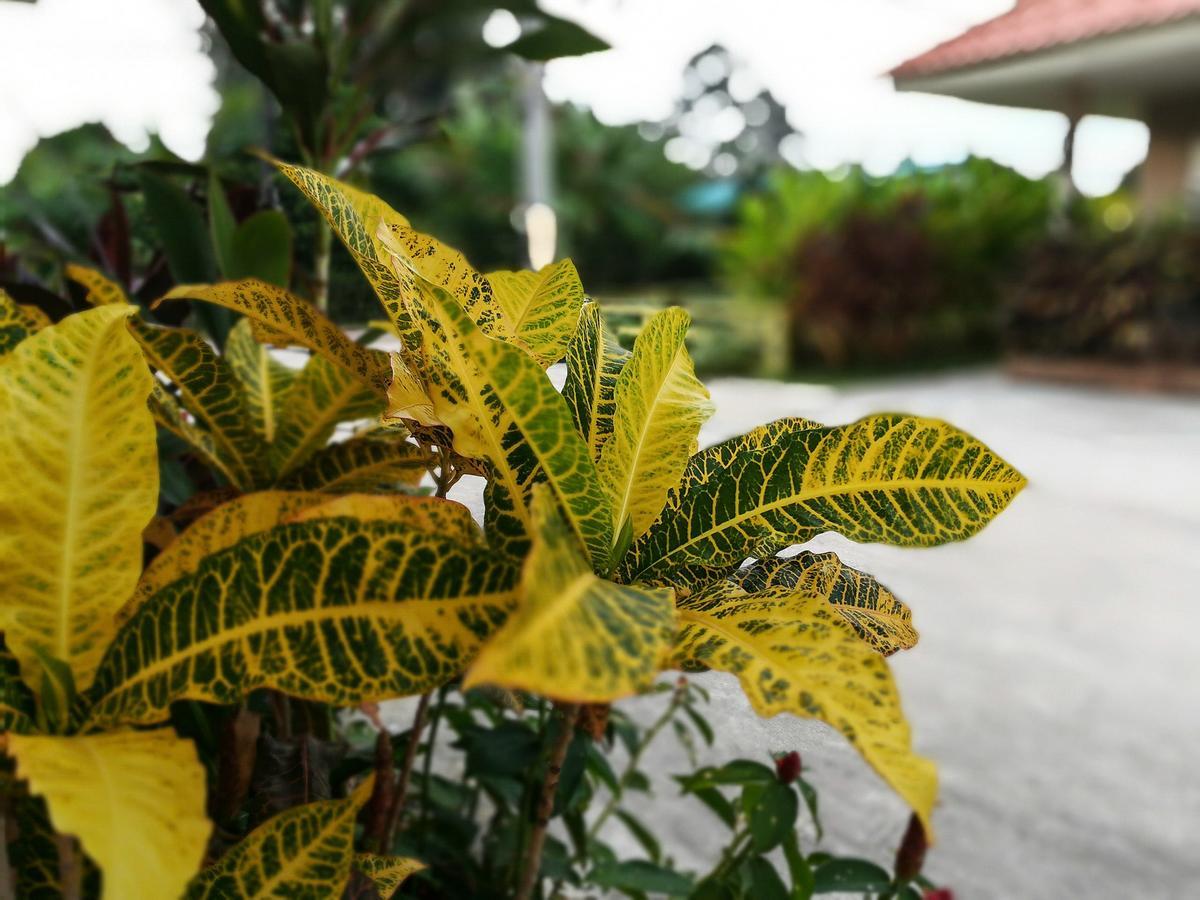Deva Garden Resort Prachinburi Esterno foto